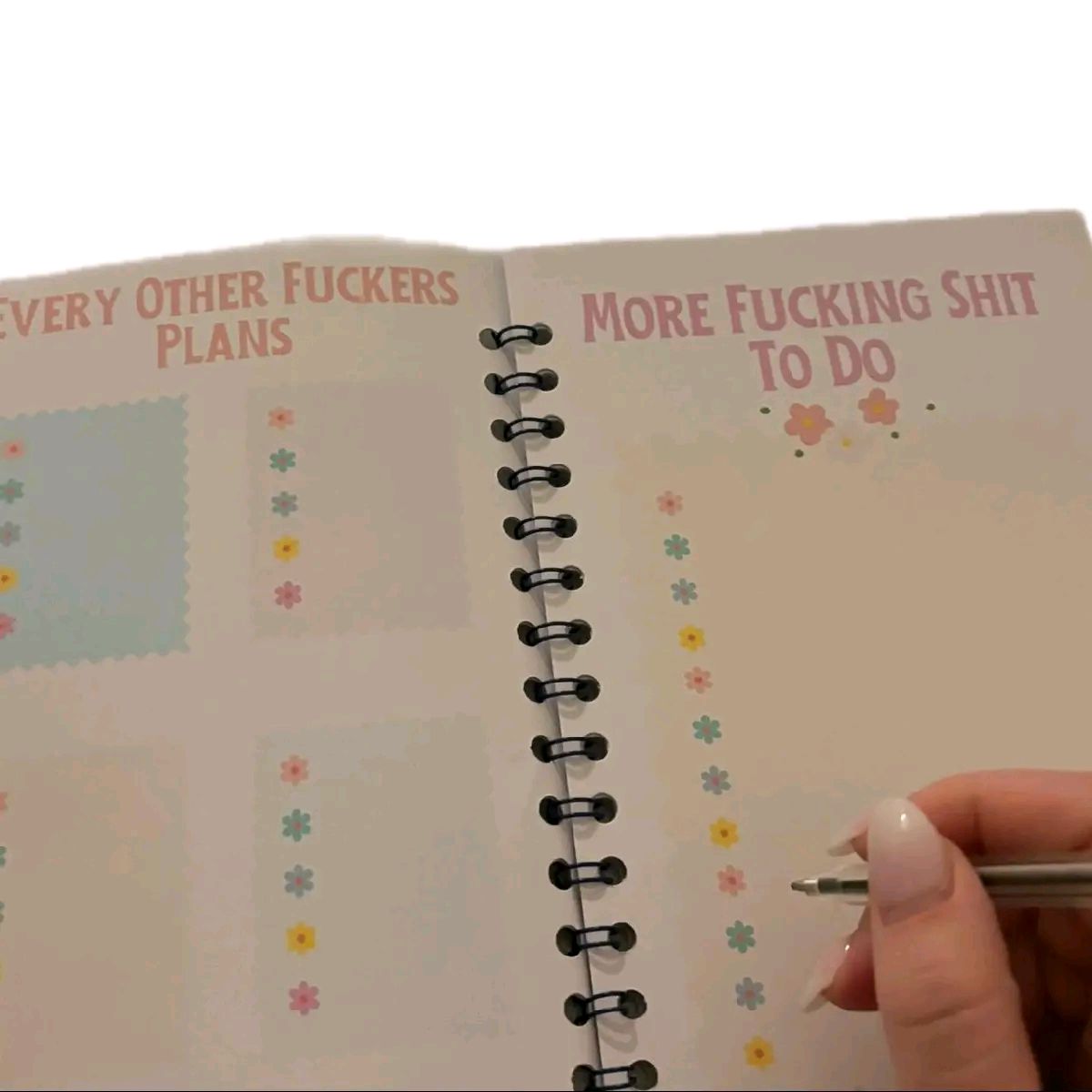 Things to Remember Book Sweary Version