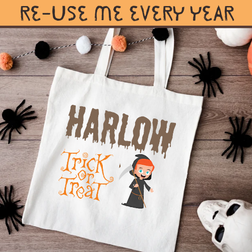 trick or treat Bag