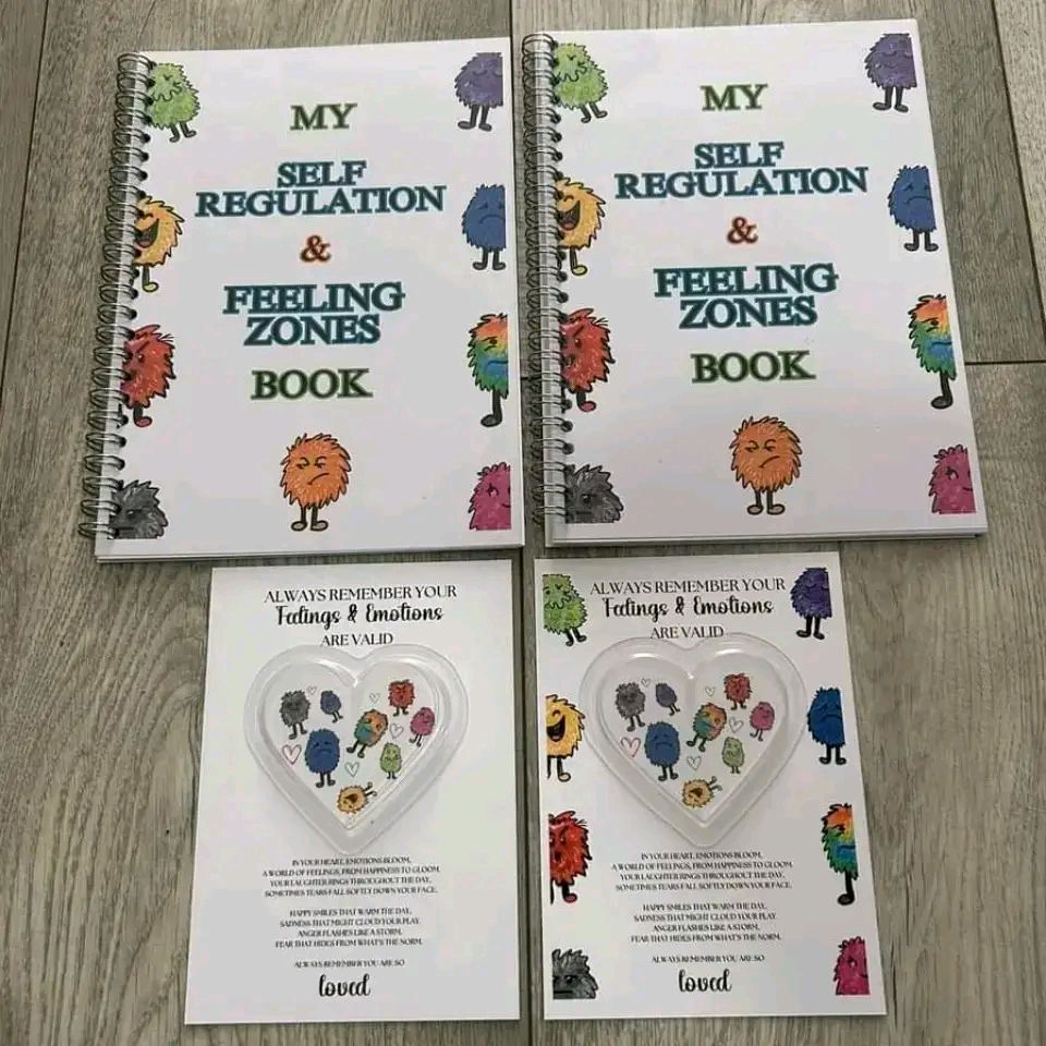 Feelings Zone Learning - My Self Regulation and Emotional Control book
