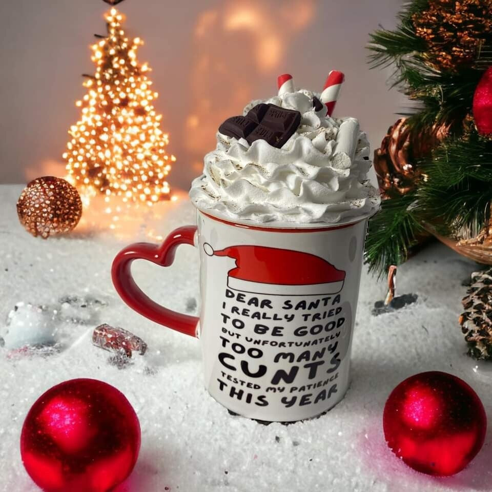 Santa I Tried Mug