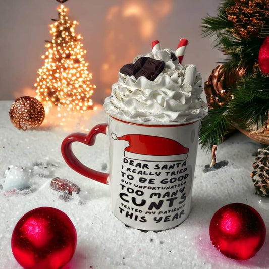 Santa I Tried Mug