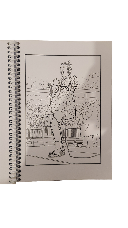 HARRY STYLES COLOURING BOOK