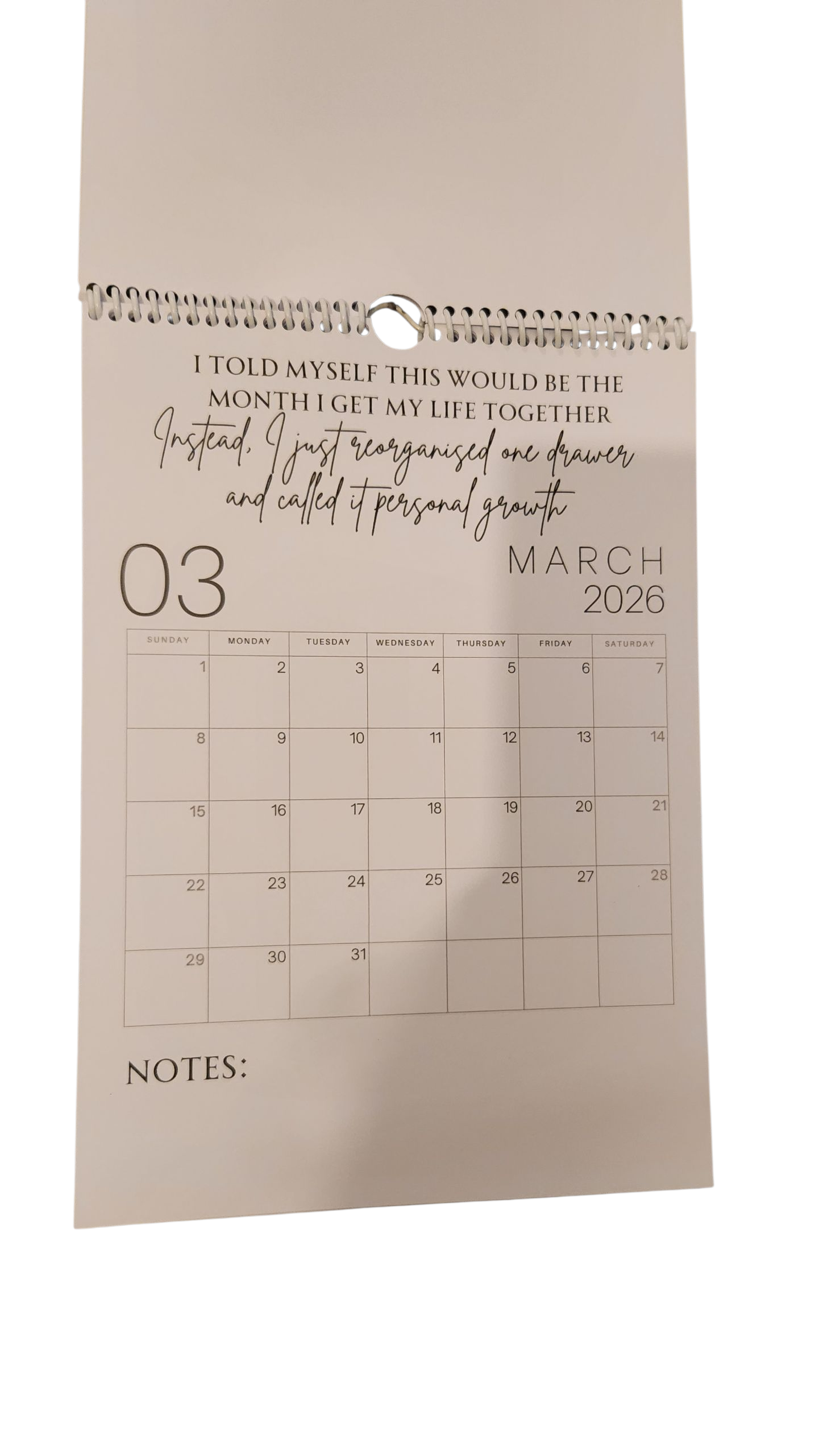 Another Year Laughing Through the Madness Calendar 2026