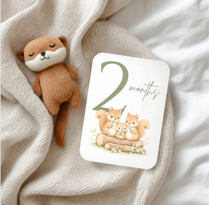 BABY MILESTONE SET woodland 12months