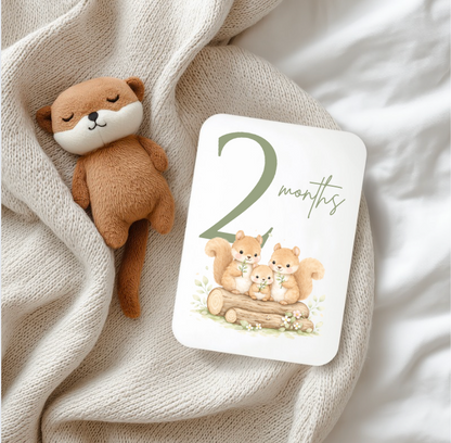 BABY MILESTONE SET woodland 12months