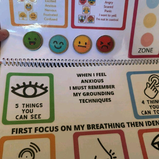 Self Regulation Book and Flash Cards Bundle